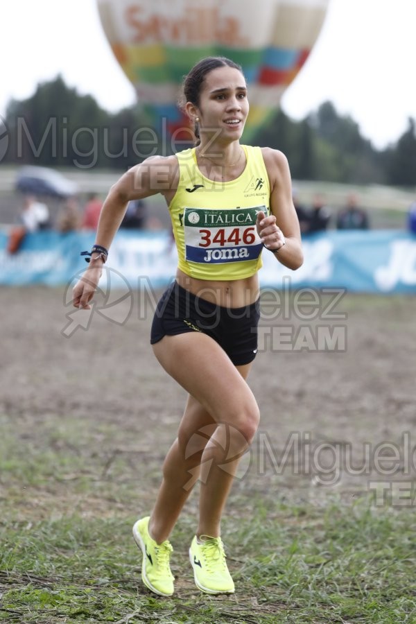 Campeonato de España de Campo a Través por Clubes (Santiponce) 2024