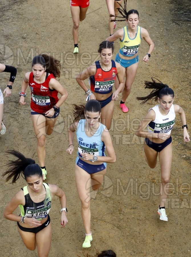 Campeonato de España de Campo a Través por Clubes (Santiponce) 2024