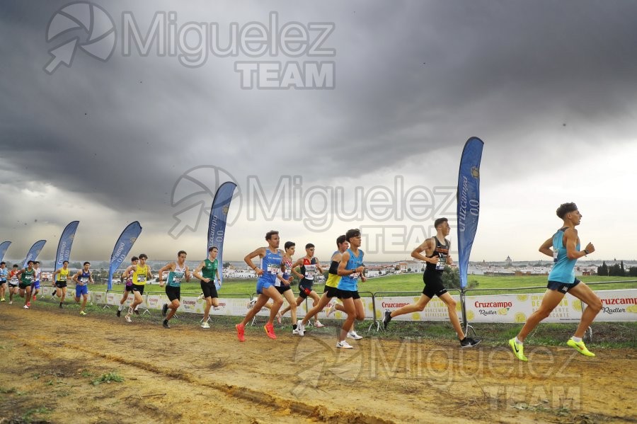 Campeonato de España de Campo a Través por Clubes (Santiponce) 2024