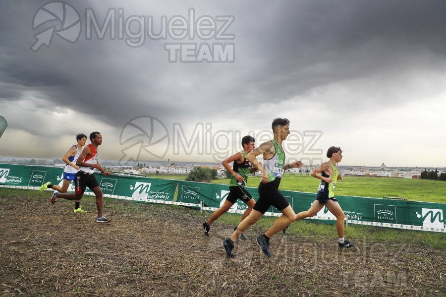 Campeonato de España de Campo a Través por Clubes (Santiponce) 2024