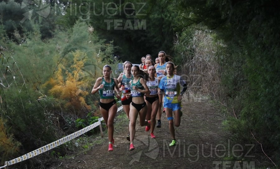 Campeonato de España de Campo a Través por Clubes (Santiponce) 2024