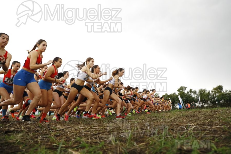 Campeonato de España de Campo a Través por Clubes (Santiponce) 2024