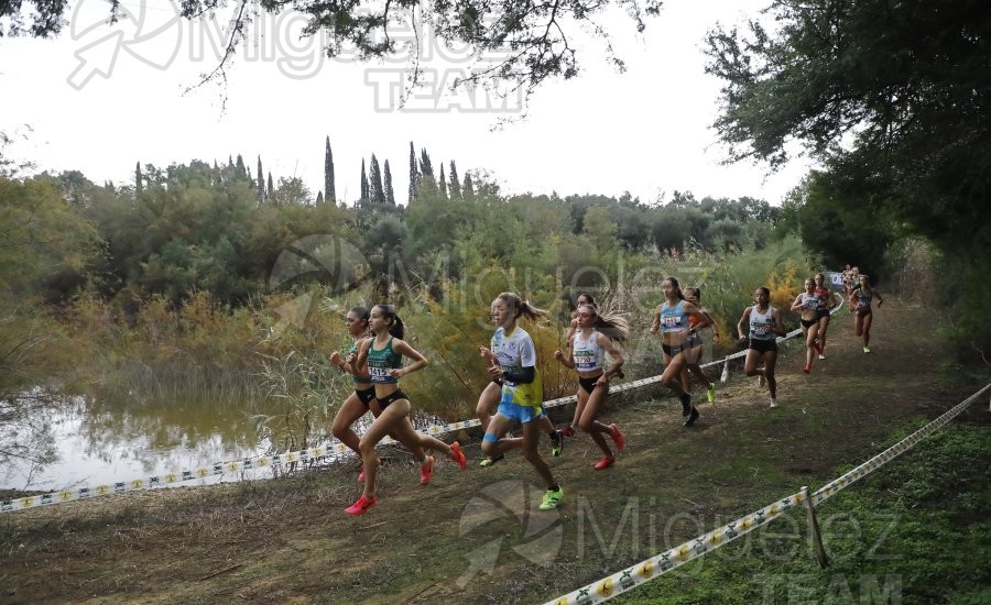 Campeonato de España de Campo a Través por Clubes (Santiponce) 2024