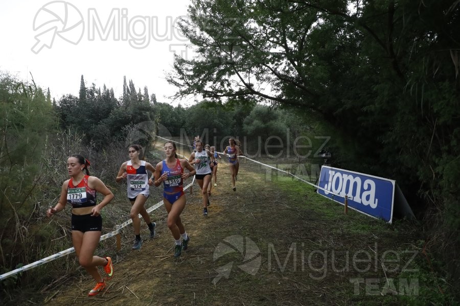 Campeonato de España de Campo a Través por Clubes (Santiponce) 2024