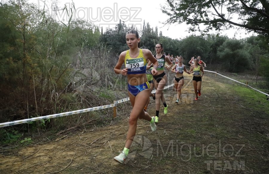 Campeonato de España de Campo a Través por Clubes (Santiponce) 2024