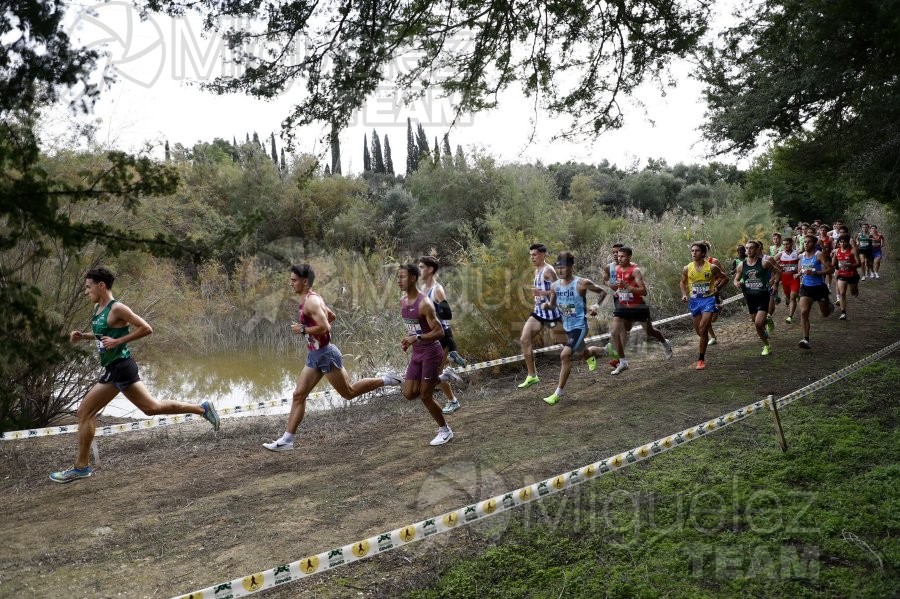 Campeonato de España de Campo a Través por Clubes (Santiponce) 2024