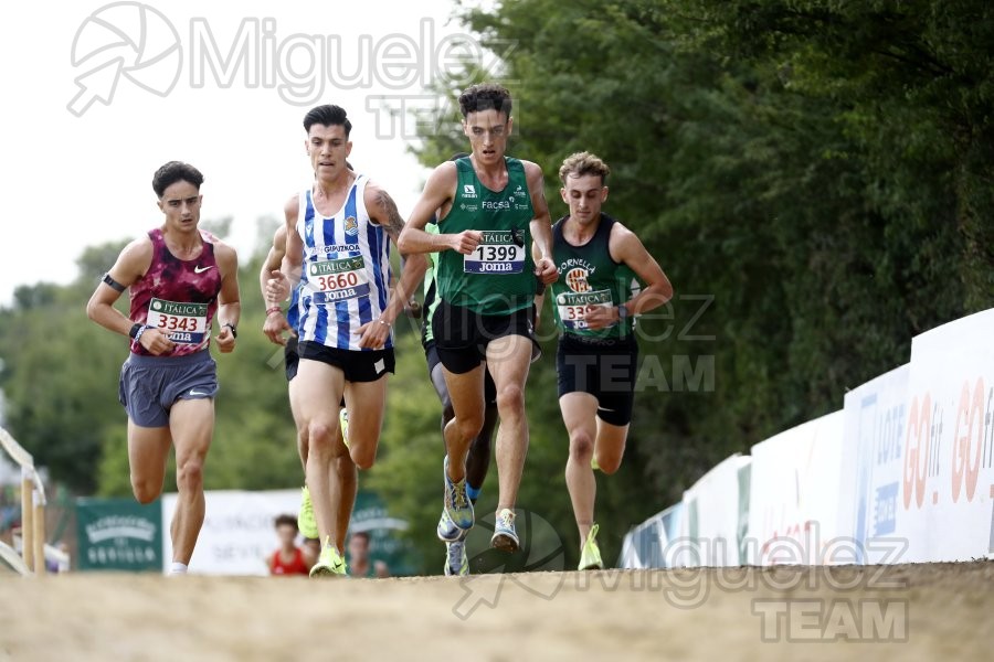 Campeonato de España de Campo a Través por Clubes (Santiponce) 2024