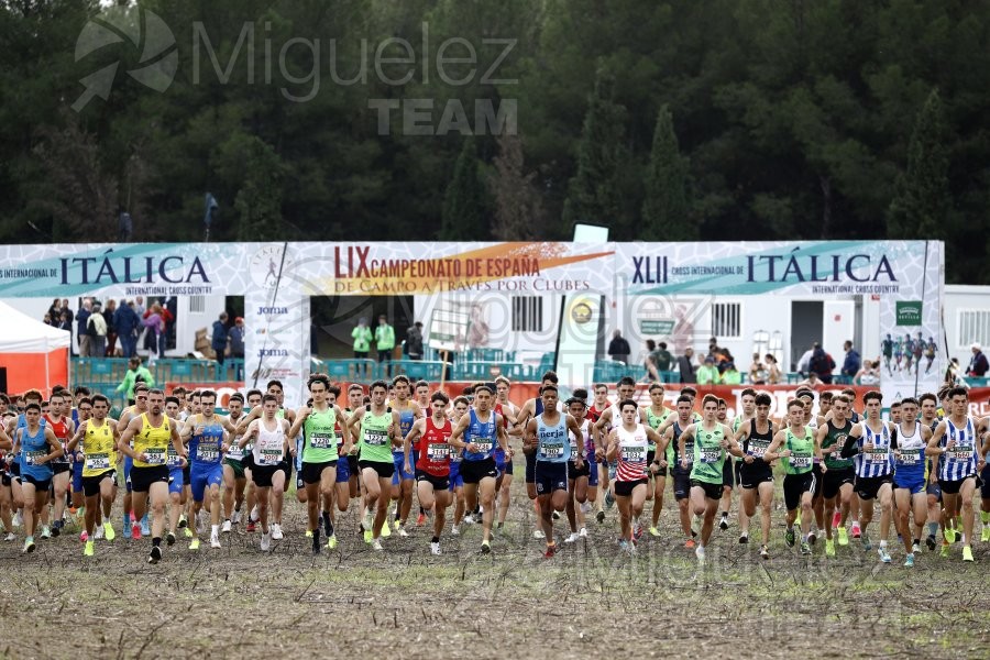 Campeonato de España de Campo a Través por Clubes (Santiponce) 2024