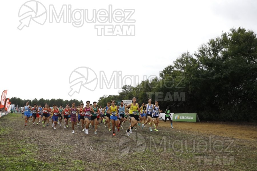 Campeonato de España de Campo a Través por Clubes (Santiponce) 2024