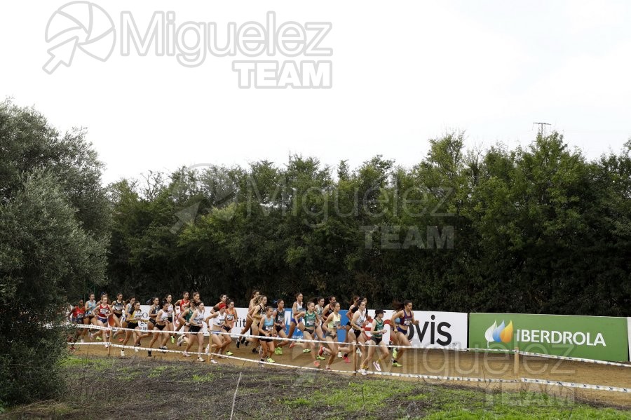 Campeonato de España de Campo a Través por Clubes (Santiponce) 2024