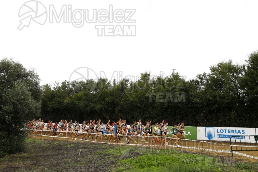 Campeonato de España de Campo a Través por Clubes (Santiponce) 2024