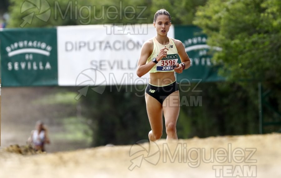 Campeonato de España de Campo a Través por Clubes (Santiponce) 2024