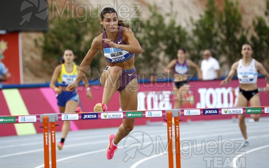 Campeonato de España Absoluto Aire Libre (La Nucia) 2024. 