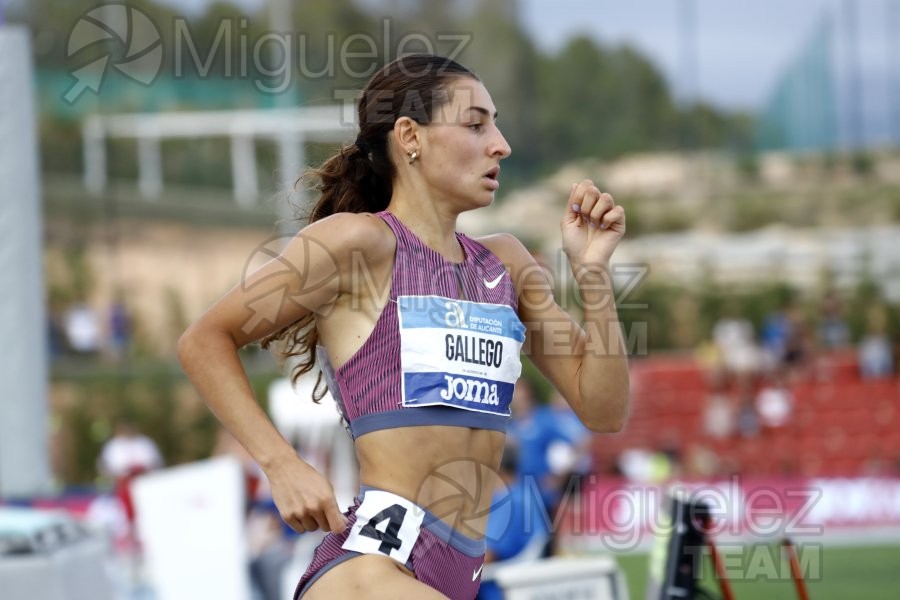 Campeonato de España Absoluto Aire Libre (La Nucia) 2024. 