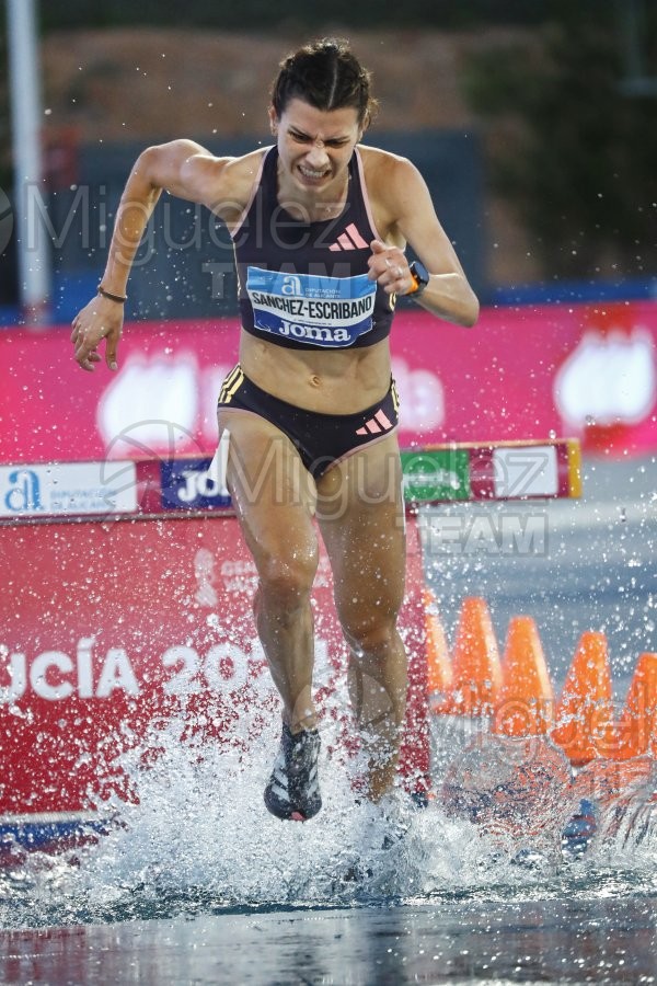 Campeonato de España Absoluto Aire Libre (La Nucia) 2024. 