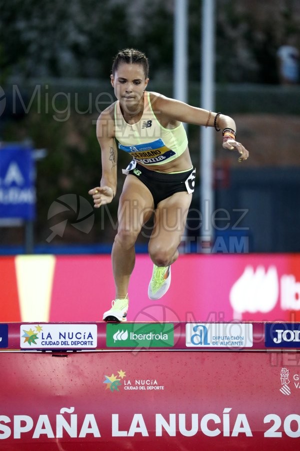 Campeonato de España Absoluto Aire Libre (La Nucia) 2024. 