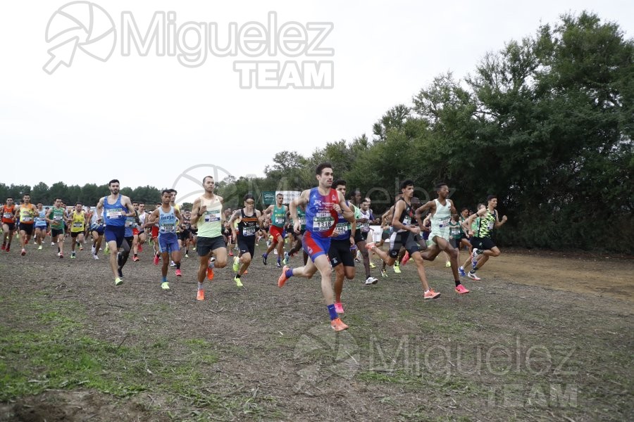 Campeonato de España de Campo a Través por Clubes (Santiponce) 2024