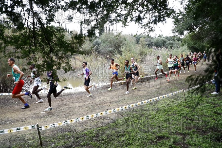 Campeonato de España de Campo a Través por Clubes (Santiponce) 2024