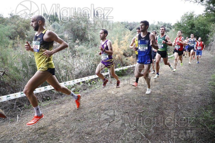 Campeonato de España de Campo a Través por Clubes (Santiponce) 2024