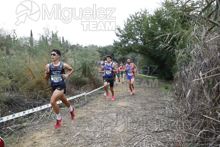 Campeonato de España de Campo a Través por Clubes (Santiponce) 2024