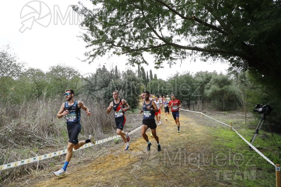 Campeonato de España de Campo a Través por Clubes (Santiponce) 2024