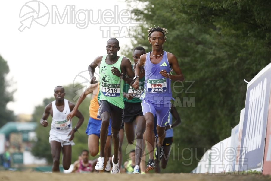 Campeonato de España de Campo a Través por Clubes (Santiponce) 2024