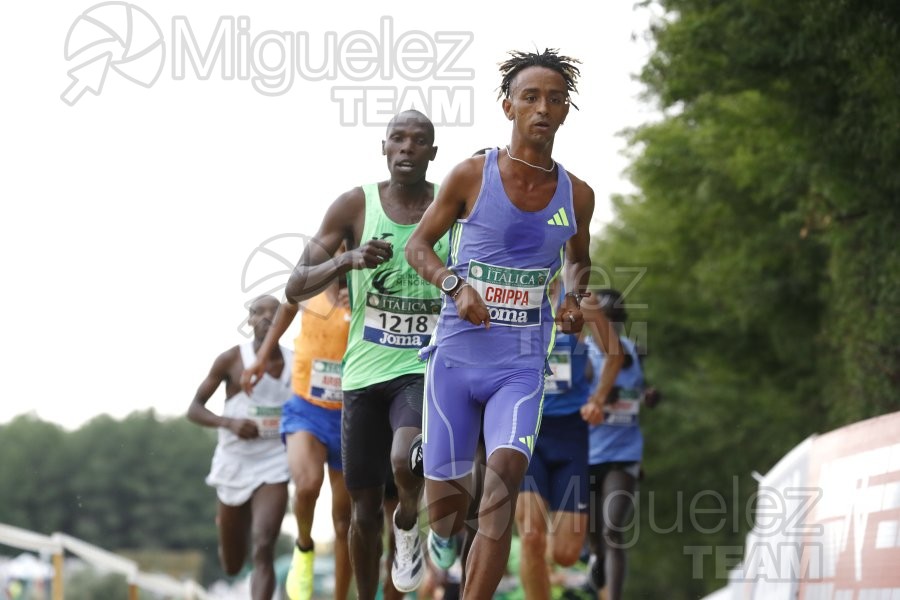 Campeonato de España de Campo a Través por Clubes (Santiponce) 2024