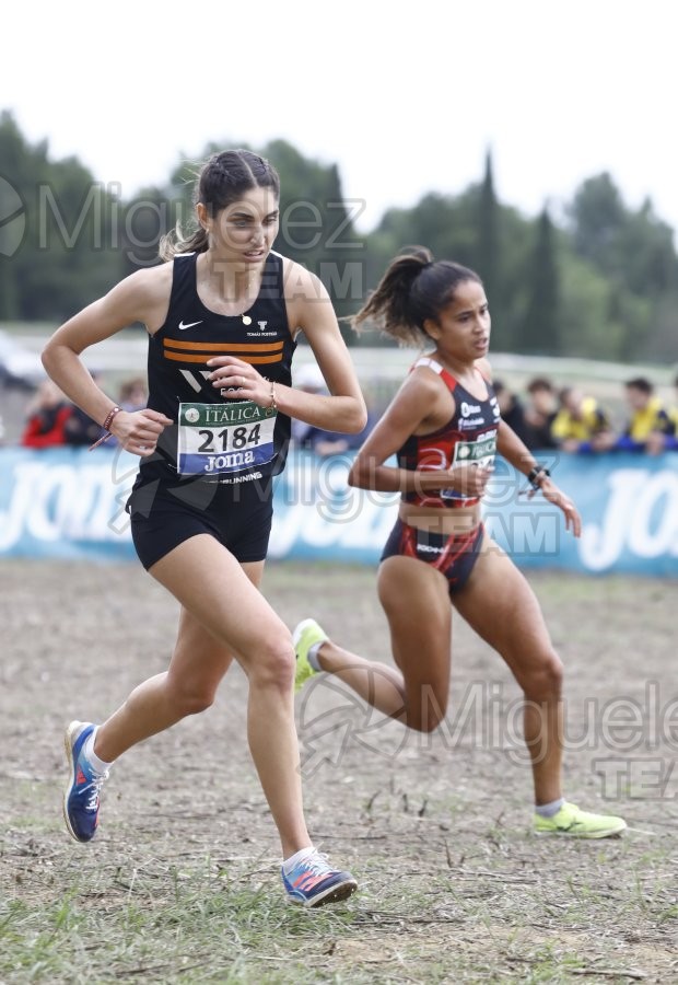 Campeonato de España de Campo a Través por Clubes (Santiponce) 2024