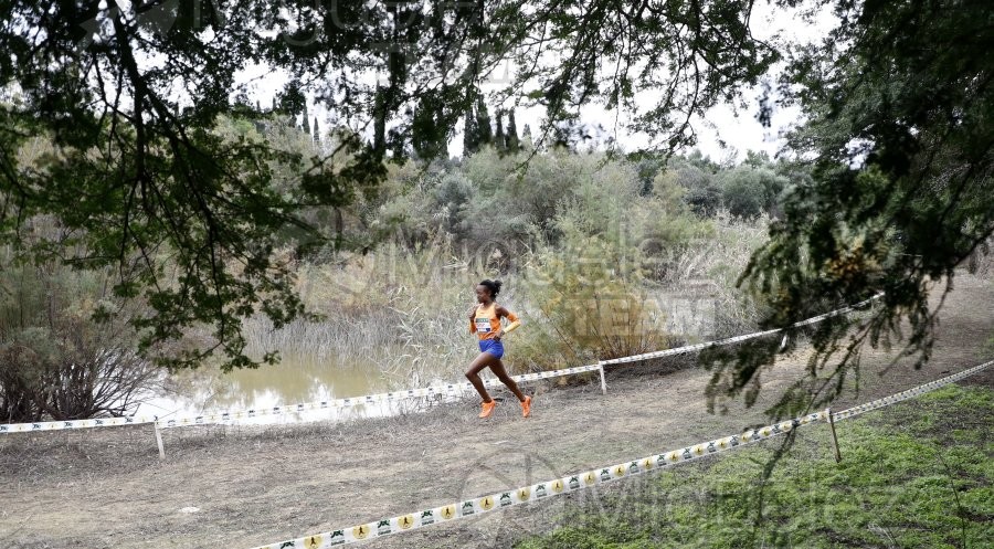 Campeonato de España de Campo a Través por Clubes (Santiponce) 2024