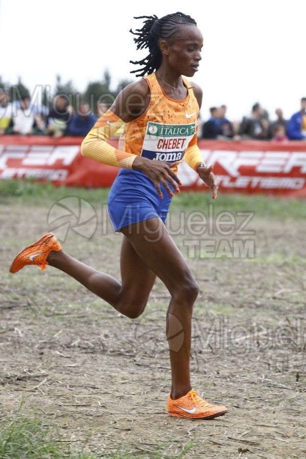 Campeonato de España de Campo a Través por Clubes (Santiponce) 2024