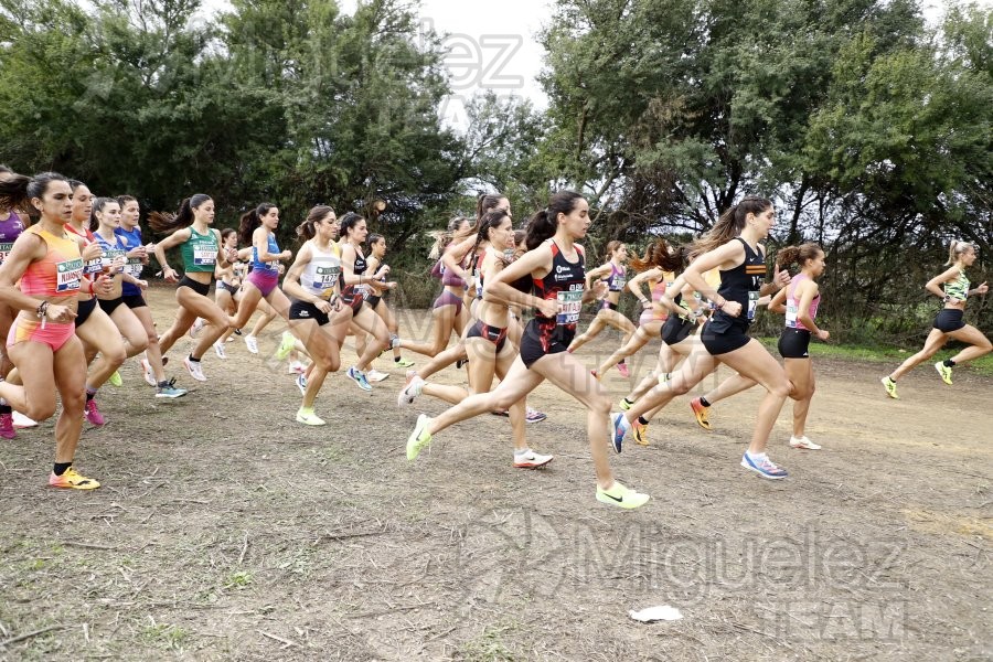 Campeonato de España de Campo a Través por Clubes (Santiponce) 2024