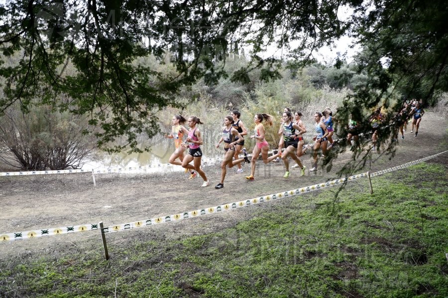 Campeonato de España de Campo a Través por Clubes (Santiponce) 2024