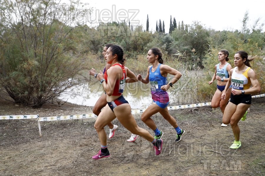 Campeonato de España de Campo a Través por Clubes (Santiponce) 2024