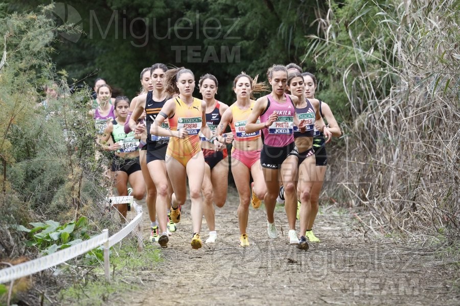 Campeonato de España de Campo a Través por Clubes (Santiponce) 2024