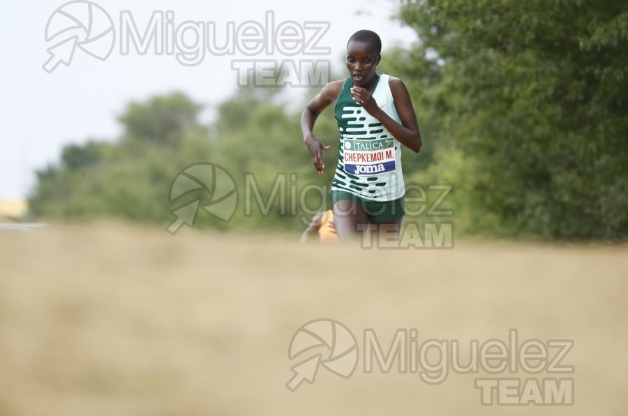 Campeonato de España de Campo a Través por Clubes (Santiponce) 2024