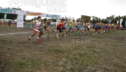 Campeonato de España de Campo a Través por Clubes (Santiponce) 2024