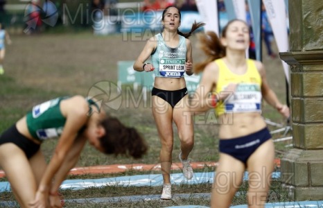 Campeonato de España de Campo a Través por Clubes (Santiponce) 2024