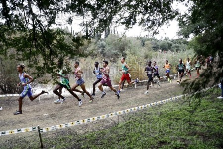 Campeonato de España de Campo a Través por Clubes (Santiponce) 2024