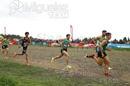 Campeonato de España de Campo a Través por Clubes (Santiponce) 2024