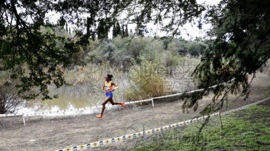 Campeonato de España de Campo a Través por Clubes (Santiponce) 2024