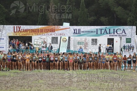 Campeonato de España de Campo a Través por Clubes (Santiponce) 2024