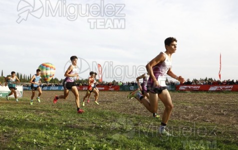 Campeonato de España de Campo a Través por Clubes (Santiponce) 2024