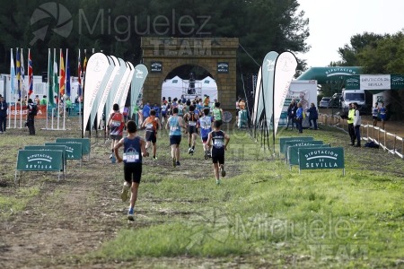 Campeonato de España de Campo a Través por Clubes (Santiponce) 2024