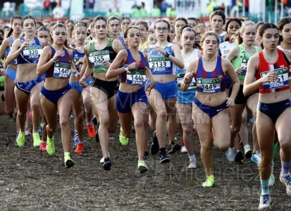 Campeonato de España de Campo a Través por Clubes (Santiponce) 2024