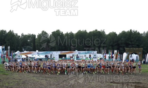 Campeonato de España de Campo a Través por Clubes (Santiponce) 2024