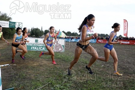 Campeonato de España de Campo a Través por Clubes (Santiponce) 2024