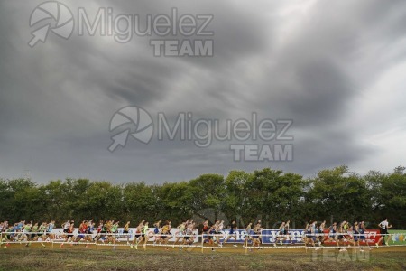 Campeonato de España de Campo a Través por Clubes (Santiponce) 2024