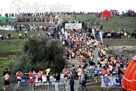 Campeonato de España de Campo a Través por Clubes (Santiponce) 2024