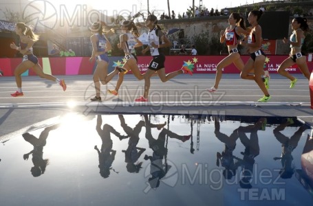 Campeonato de España Absoluto Aire Libre (La Nucia) 2024. 