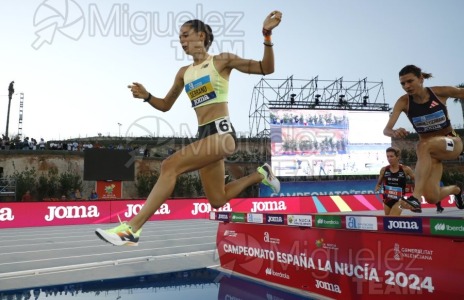 Campeonato de España Absoluto Aire Libre (La Nucia) 2024. 